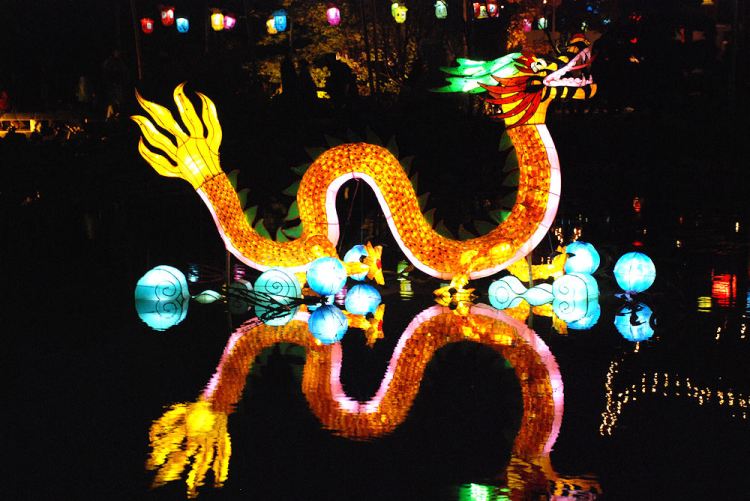 07 lanterne dragon