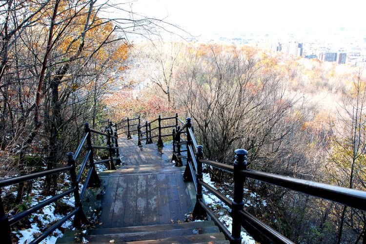 13 escaliers mt royal