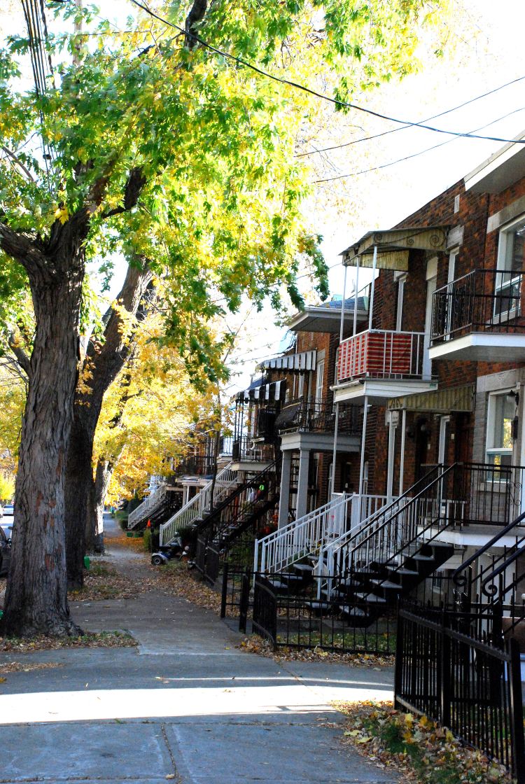 25 maisons typiq vertic