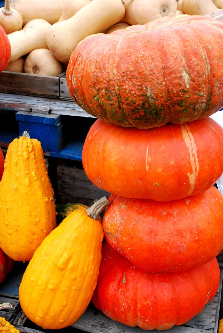 35 courge et citrouilles