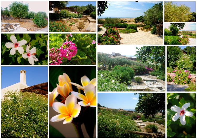 02 Paros (Cyclades)6