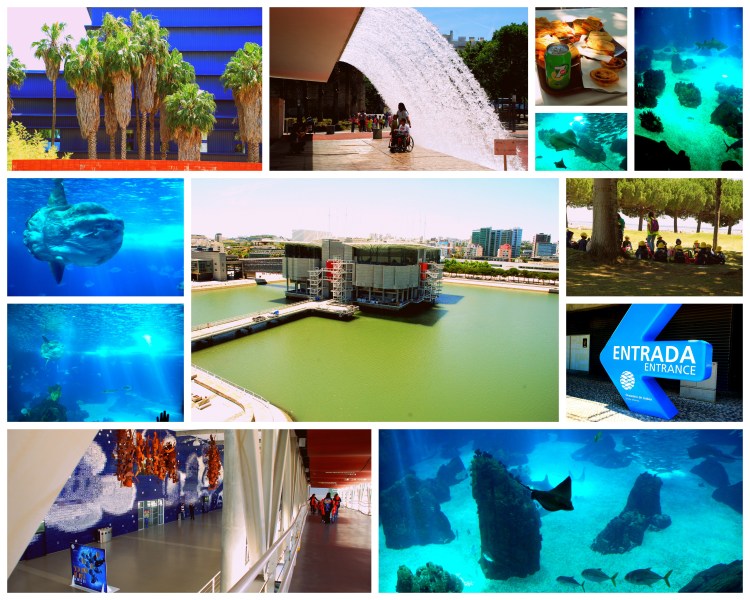 185 Lisbonne mai 20152