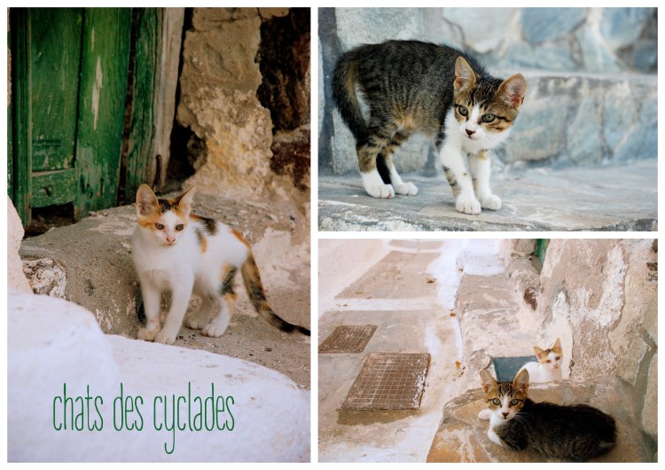 03 Santorin (cyclades)14