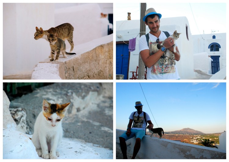 03 Santorin (cyclades)15